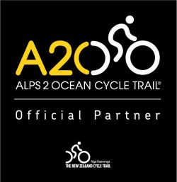 A2O Official Partner logo