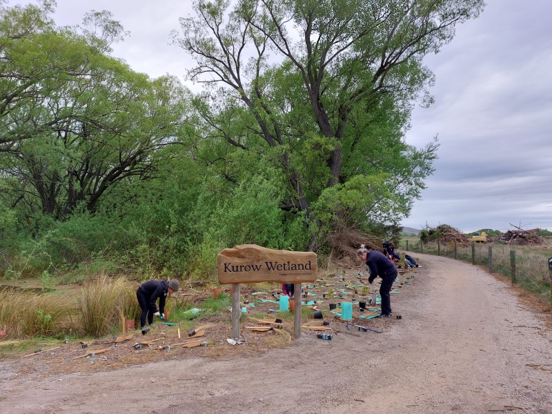 Kurow Wetlands Project - October 2023