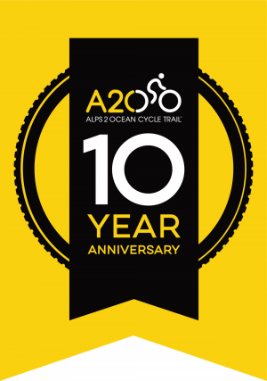 10 year anniversary badge